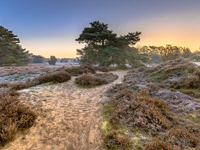 winterwandeling-zorgvlied